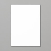 Whisper White A4 Card Stock