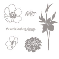 Fabulous Florets - Clear-Mount Stamp