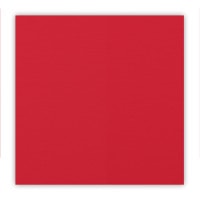 Real Red 12" X 12" Card Stock