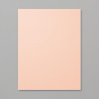Petal Pink 8-1/2" X 11" Cardstock