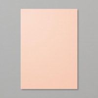 Petal Pink A4 Cardstock