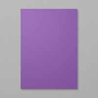 Gorgeous Grape A4 Cardstock [ 147011 ]