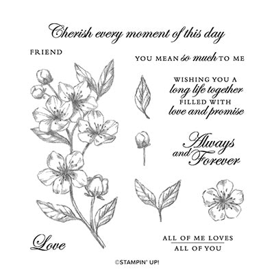 Forever Blossoms Cling Stamp Set (English) [ 151457 ]