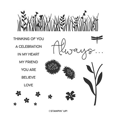Field Of Flowers Photopolymer Stamp Set [ 152589 ]