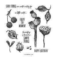 Enjoy The Moment Cling Stamp Set [ 154452 ]