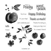 Sweet As A Peach Photopolymer Stamp Set [ 155050 ]