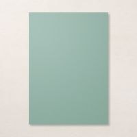 Soft Succulent A4 Cardstock [ 155777 ]