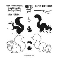 Nuts About Squirrels Photopolymer Stamp Set (English) [ 156475 ]