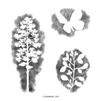 Amazing Silhouettes Cling Stamp Set [ 157814 ]