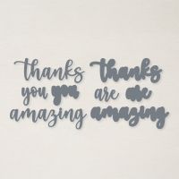 Amazing Thanks Dies (English) [ 157816 ]