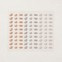 Pebbles Enamel Shapes
