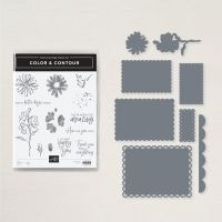 Color & Contour Bundle (English)