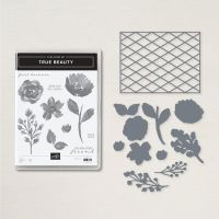 True Beauty Bundle (English)