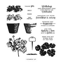 Potted Geraniums Photopolymer Stamp Set (English) [ 159056 ]