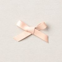 Petal Pink 3/8" (1 Cm) Soft Polyester Ribbon