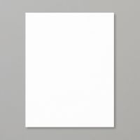 Basic White 8 1/2" X 11" Thick Cardstock