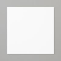 Basic White 12 X12 (30.5 X 30.5 Cm) Cardstock
