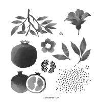 Perfect Pomegranate Host Photopolymer Stamp Set