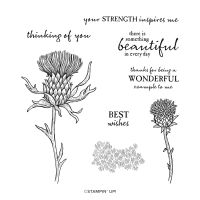 Beautiful Thistle Cling Stamp Set (English)