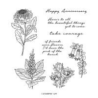 Everlasting Beauty Cling Stamp Set (English) [ 161255 ]