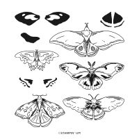 Night Of Flight Host Photopolymer Stamp Set