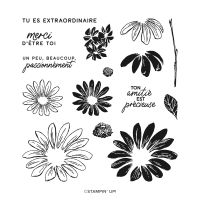 Marguerites Enjouées Photopolymer Stamp Set (French)