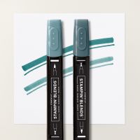 Pretty Peacock Stampin’ Blends Combo Pack