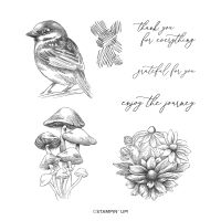 Inspirational Sketches Cling Stamp Set (English)