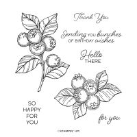 Blueberry Bunches Cling Stamp Set (English)