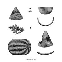 Watercolor Melon Photopolymer Stamp Set