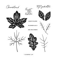 Fotopolymeerstempelset Herfstwensen (Nederlands)