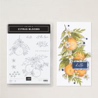 Citrus Blooms Cling Stamp Set (English)