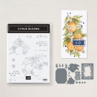 Citrus Blooms Bundle (English)