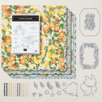 Mediterranean Blooms Suite Collection (English)