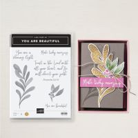 You Are Beautiful Cling Stamp Set (English)