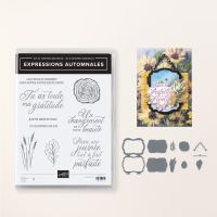 Lot Expressions Automnales (Français)