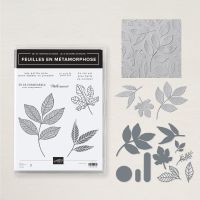 Lot Feuilles En Métamorphose (Français)