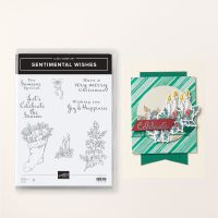 Sentimental Wishes Cling Stamp Set (English) [ 164210 ]