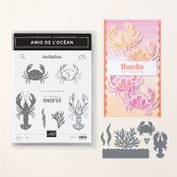 Lot Amis De L’océan (Français)