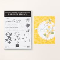 Set De Tampons En Résine Charmants Souhaits (Français) [ 164703 ]