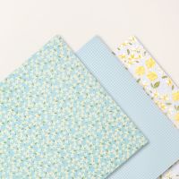 Floral & Gingham Vellum 12" X 12" (30.5 X 30.5 Cm) Specialty Designer Series Paper