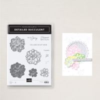 Detailed Succulent Photopolymer Stamp Set (English)