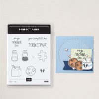 Perfect Pairs Photopolymer Stamp Set (English)