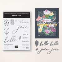 Lot Belle Joie (Français) [ 165190 ]