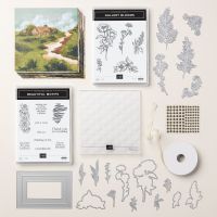 Beautiful Gallery Suite Collection (English) [ 165217 ]
