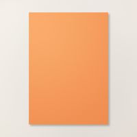 Timid Tiger A4 Cardstock [ 165298 ]