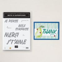 Set De Tampons En Résine Mots à Superposer (Français) [ 165348 ]
