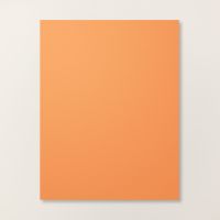 Timid Tiger 8 1/2" X 11" Cardstock [ 165626 ]