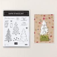 Set De Tampons En Résine Sapin étincelant (Français) [ 166042 ]