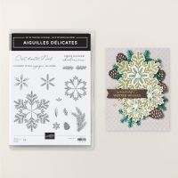 Set De Tampons En Résine Aiguilles Délicates (Français) [ 166069 ]